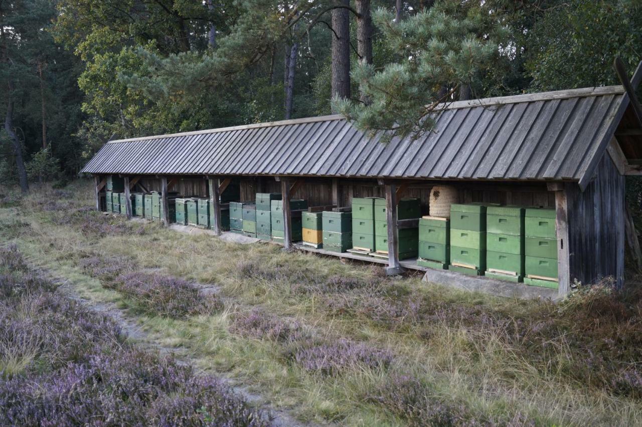 Villa Ferienhaus Wahlers Bispingen Exterior foto