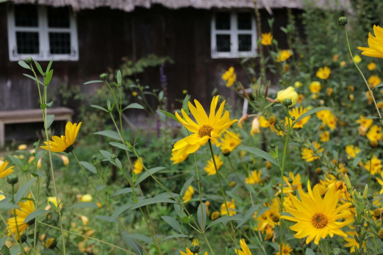 Villa Ferienhaus Wahlers Bispingen Exterior foto